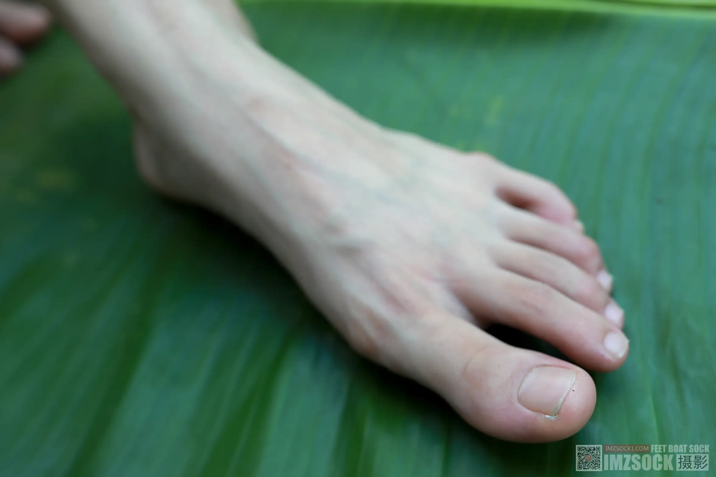 [Mzsock] Love beautiful feet NO.119 cocoa#[74P]-74